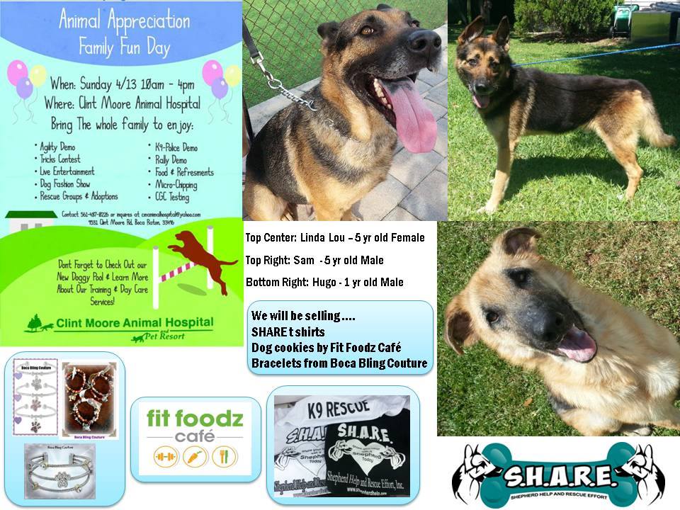 German shepherd homemade treats sale