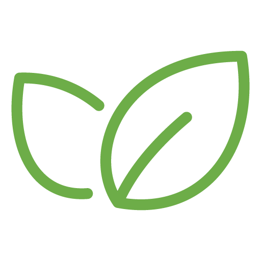 Healthy Icon